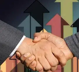 Marketing & Sales