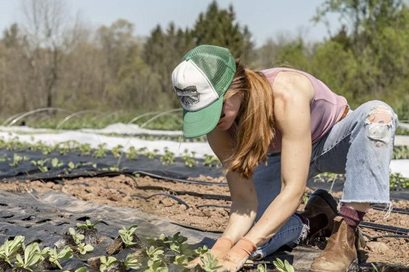 Agricultural Analytics Dashboard