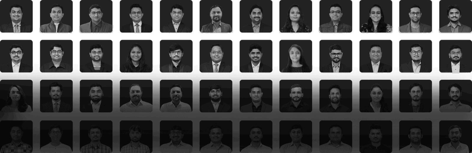 Meet Our Team